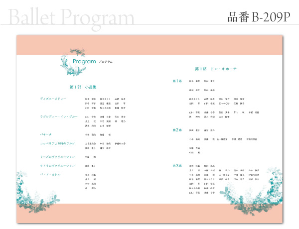 B-209 プログラム