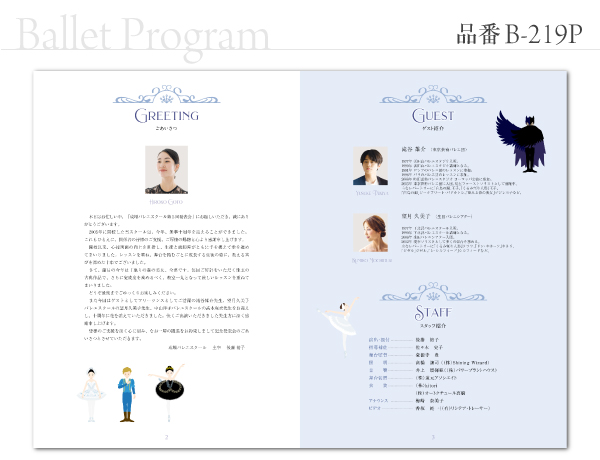 B-219 プログラム