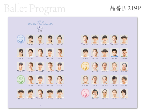 B-219 プログラム