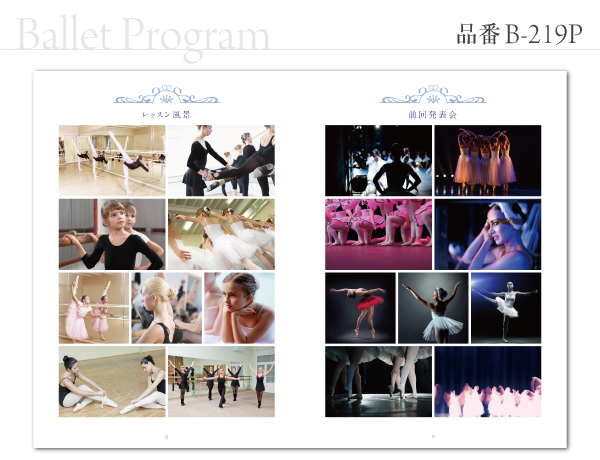 B-219 プログラム