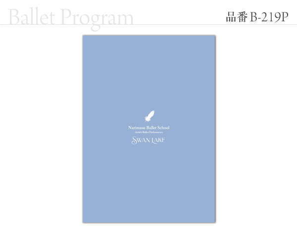 B-219 プログラム