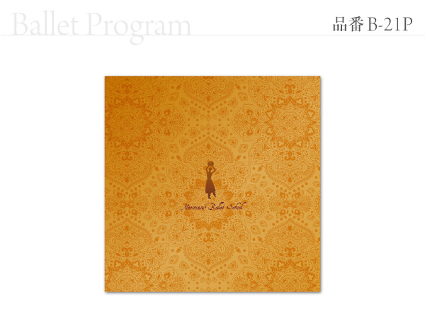 B-21 プログラム