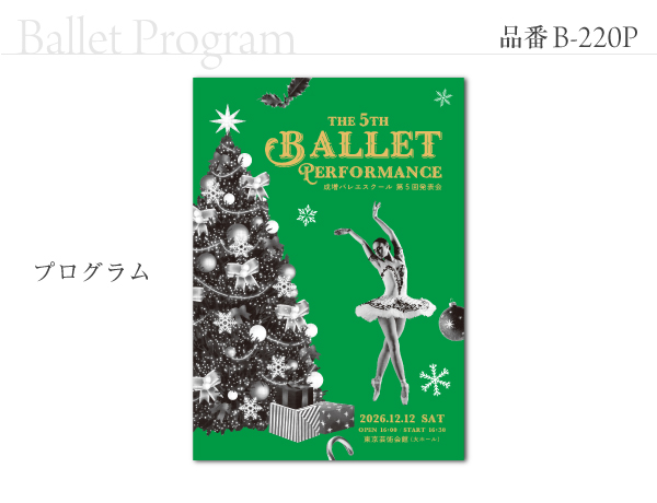 B-220 プログラム