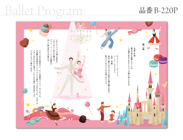 B-220 プログラム