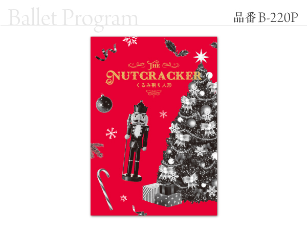 B-220 プログラム