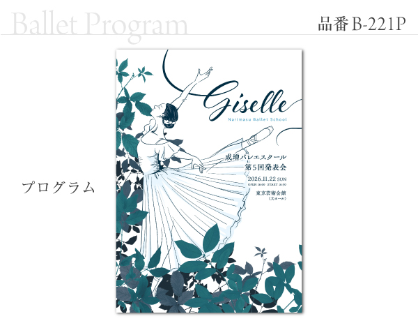 B-221 プログラム