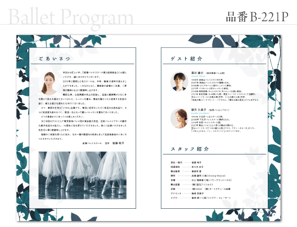 B-221 プログラム