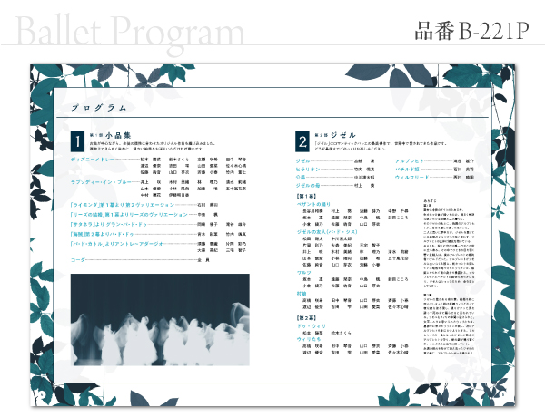B-221 プログラム