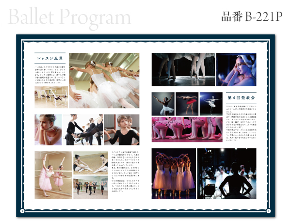 B-221 プログラム