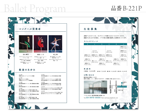 B-221 プログラム