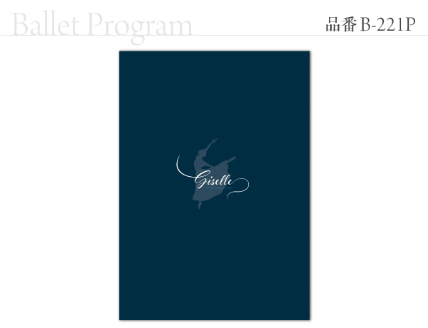 B-221 プログラム