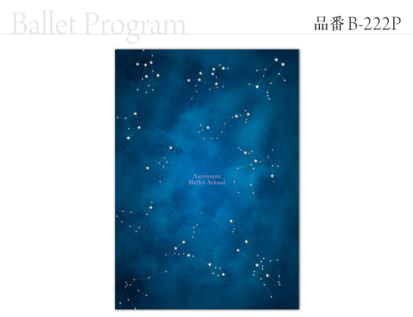 B-222 プログラム