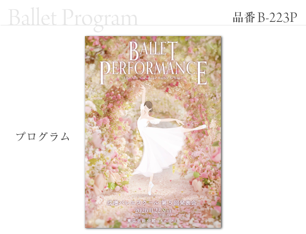 B-223 プログラム