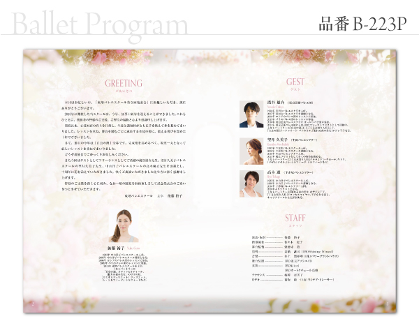 B-223 プログラム