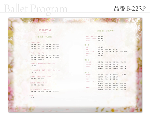 B-223 プログラム