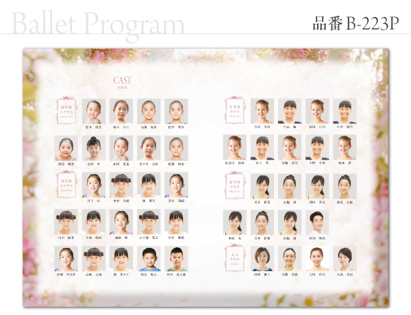 B-223 プログラム