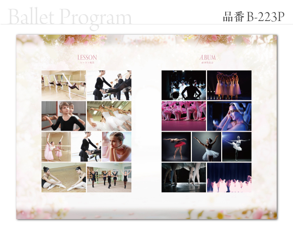 B-223 プログラム