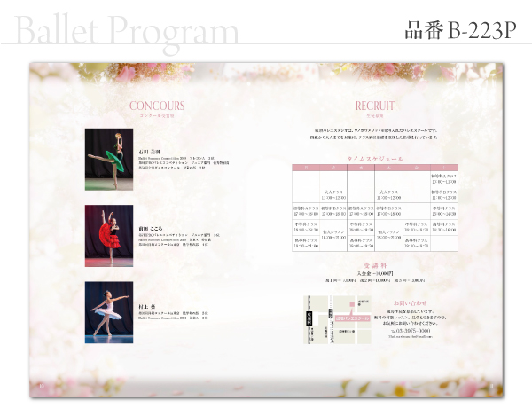 B-223 プログラム