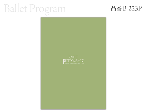 B-223 プログラム