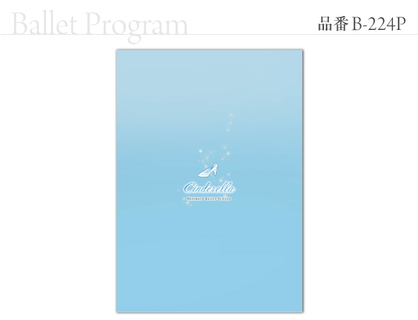 B-224 プログラム