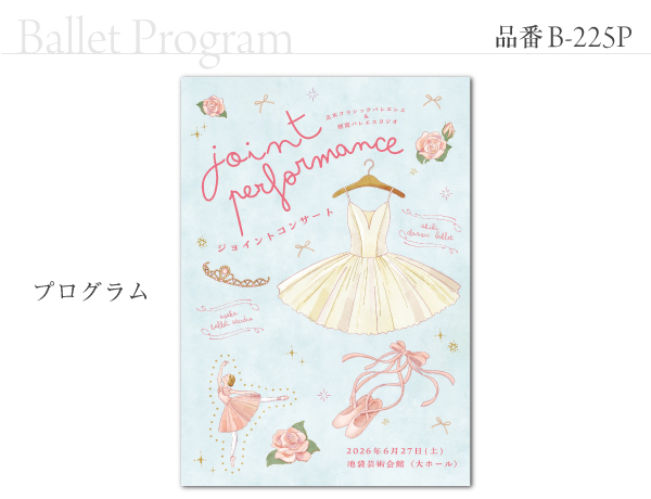 B-225 プログラム