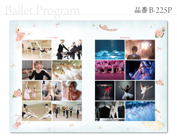 B-225 プログラム