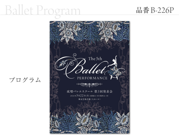 B-226 プログラム