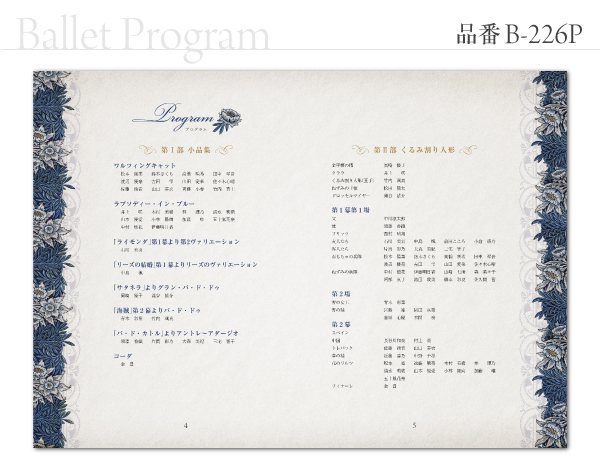 B-226 プログラム