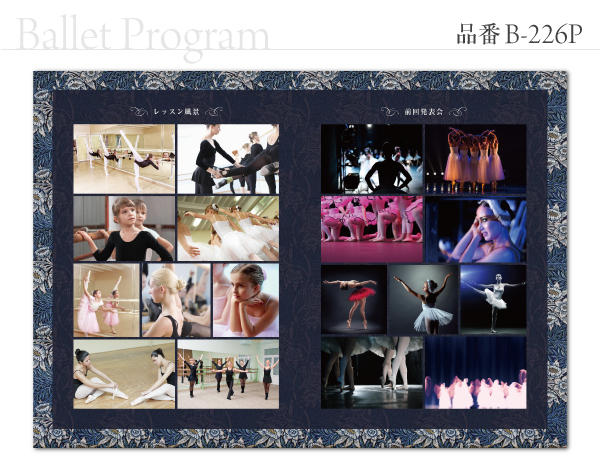 B-226 プログラム