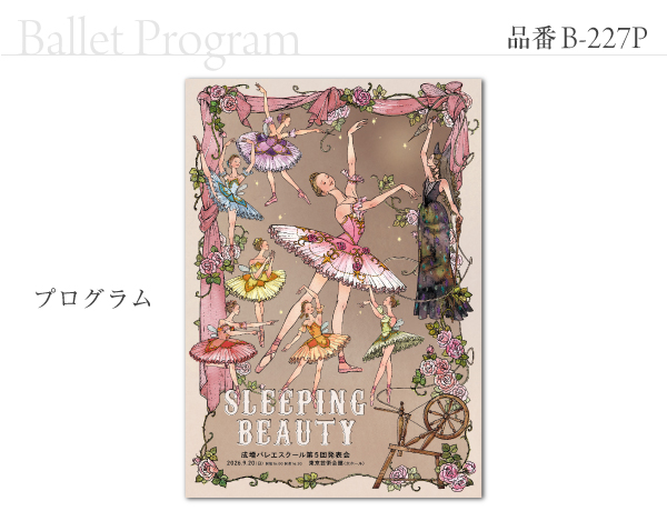 B-227 プログラム