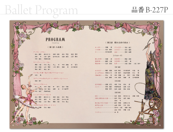 B-227 プログラム