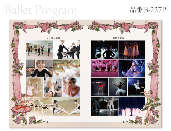 B-227 プログラム