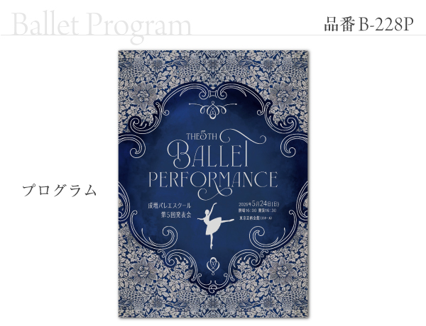 B-228 プログラム