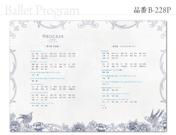 B-228 プログラム