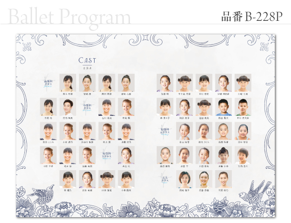 B-228 プログラム