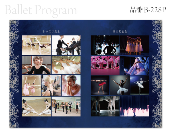 B-228 プログラム