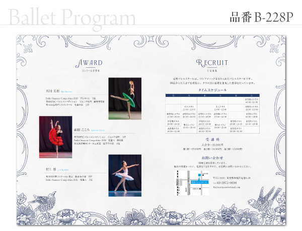 B-228 プログラム