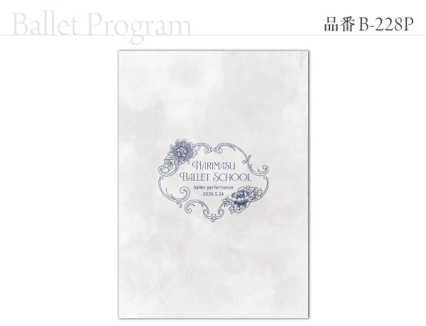 B-228 プログラム