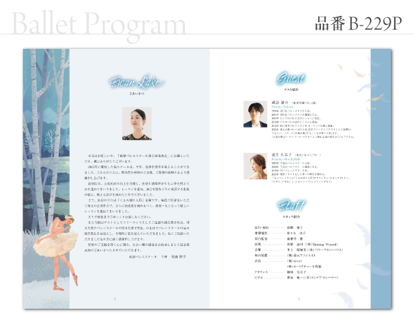 B-229 プログラム