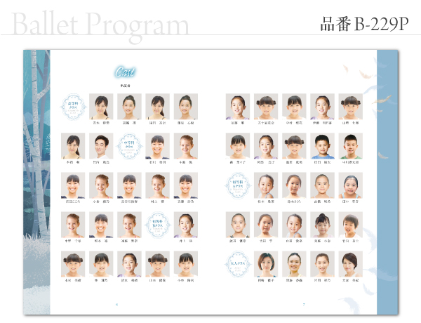 B-229 プログラム