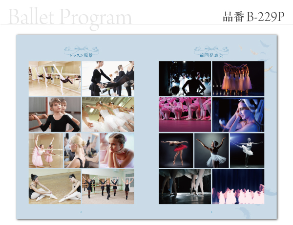 B-229 プログラム