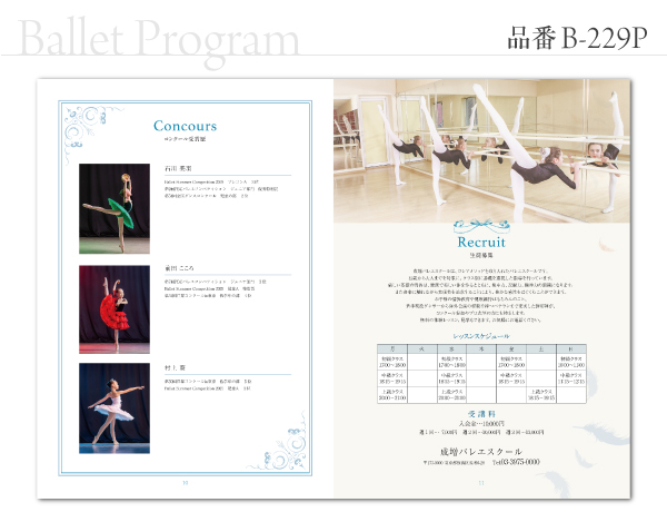 B-229 プログラム