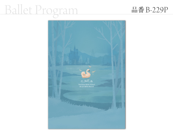 B-229 プログラム