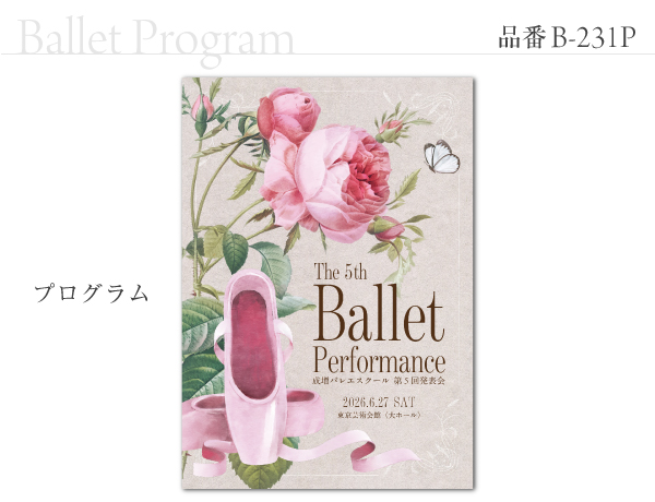 B-231 プログラム