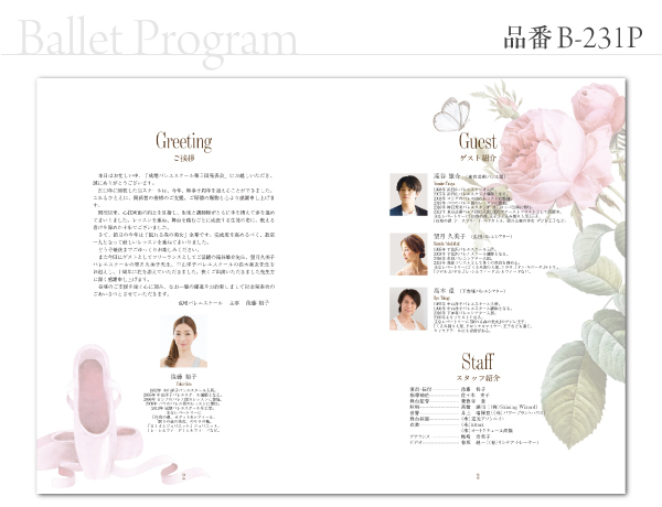 B-231 プログラム