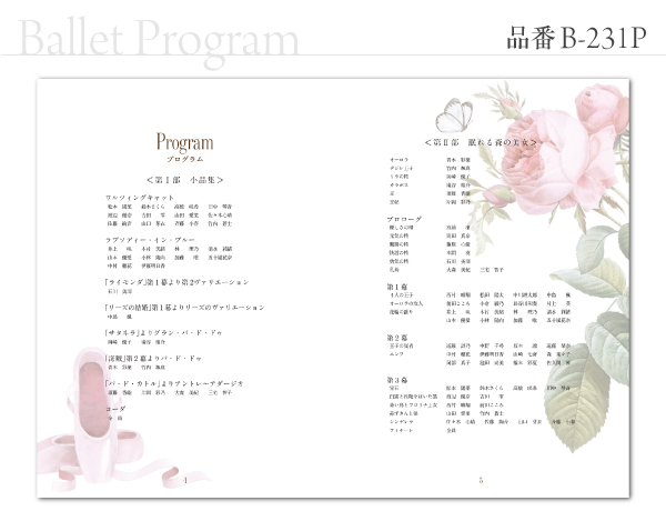 B-231 プログラム
