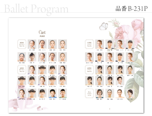 B-231 プログラム