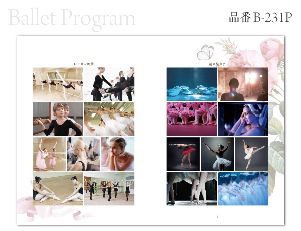 B-231 プログラム