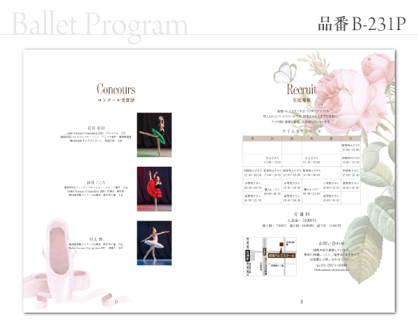 B-231 プログラム
