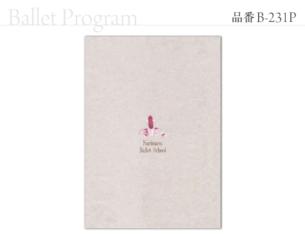 B-231 プログラム